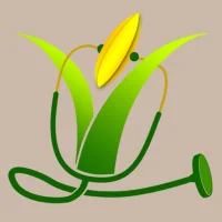 Rice Doctor Assam EN